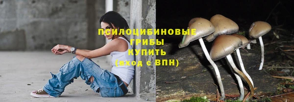 синтетический гашиш Алексеевка