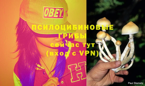 амф Алзамай