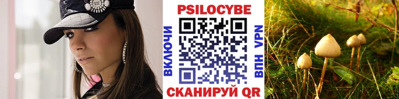 где можно купить Миасс Псилоцибиновые грибы ЛСД